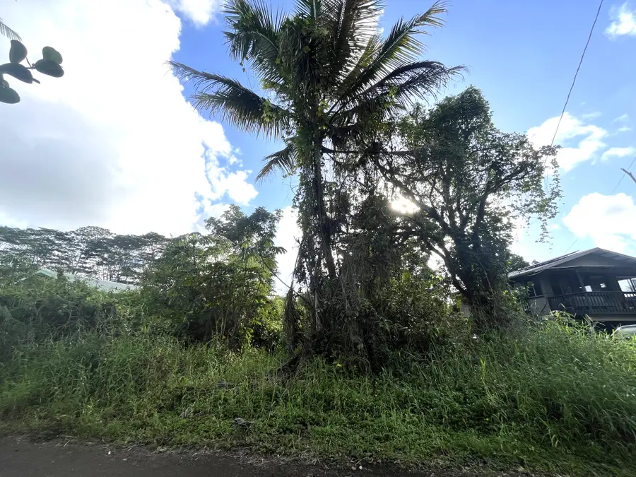 King Kamehameha Blvd, Kurtistown, HI 96760 - Image #3
