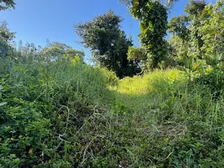 15-2714 Hou St, Pahoa, HI 96778 - Image #2