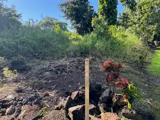 15-2714 Hou St, Pahoa, HI 96778 - Image #3