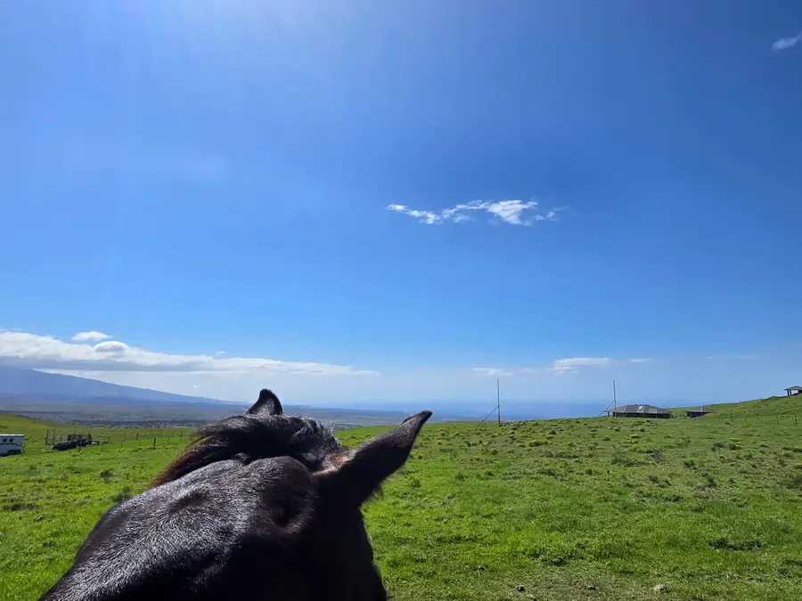 67-1148 Wainoenoe Road, Kamuela, HI 96743 - Image #2