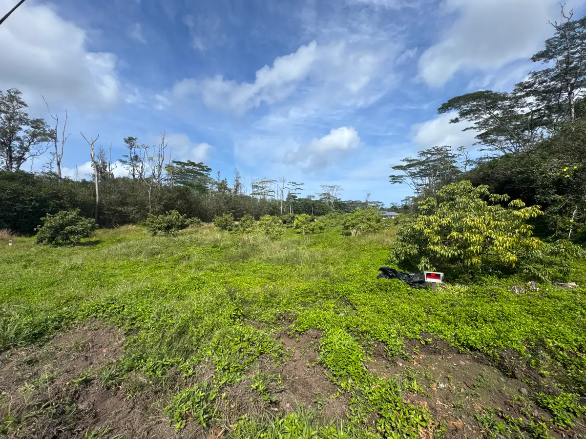 28th Ave, Keaau, HI 96749 - Image #1