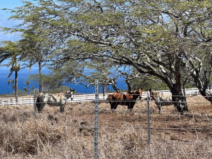 56-2951 Puakea Bay Dr, Hawi, HI 96719 - #2