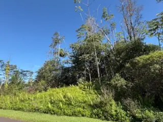 Heepali St, Pahoa, HI 96778 - Image #3