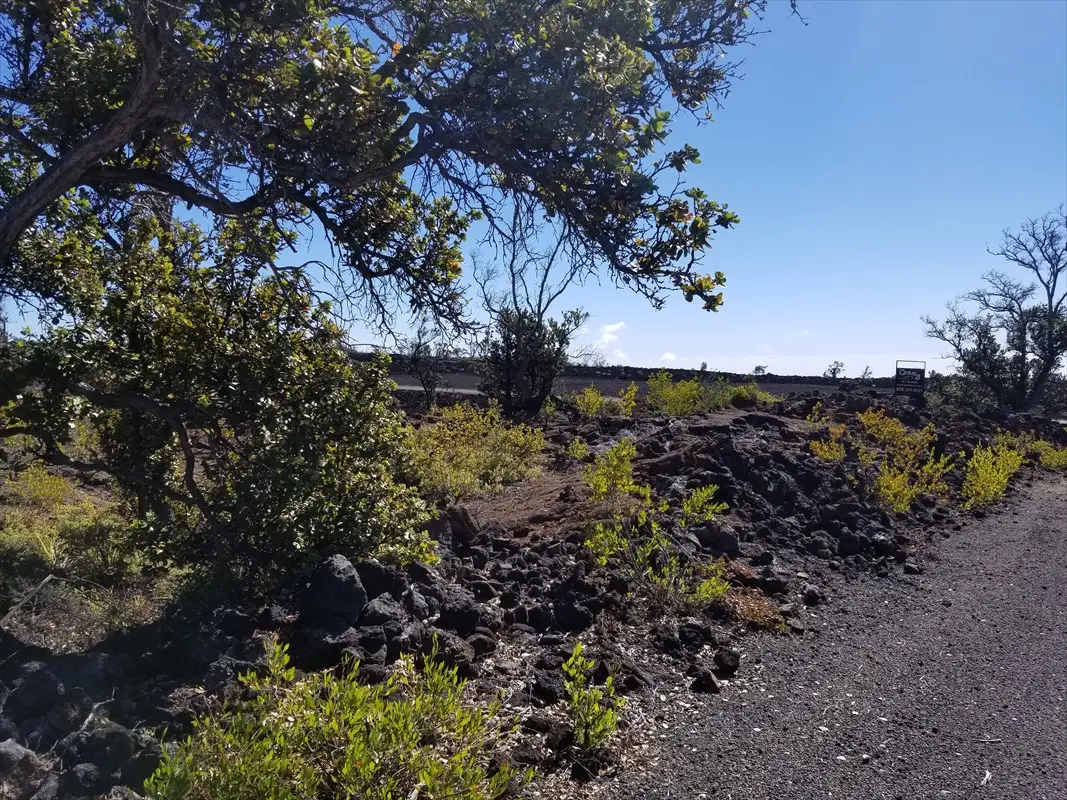 92-8506 Liliana Ln, Ocean View, HI 96737 - Image #1