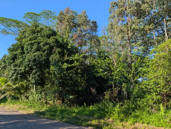 8th Ave, Keaau, HI 96749