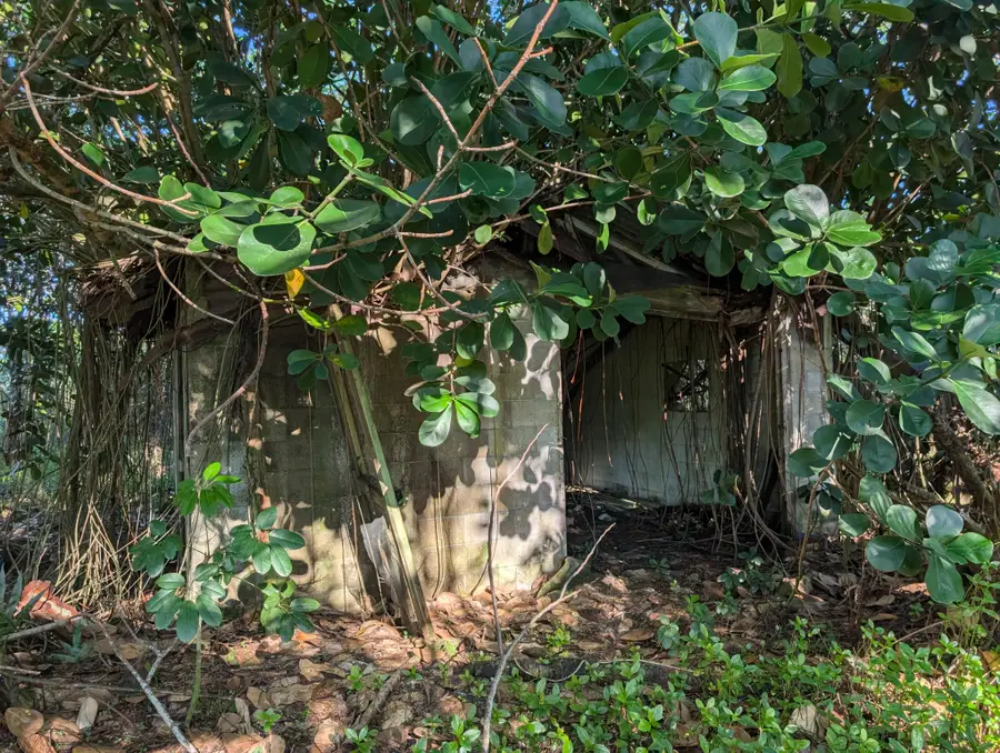 8th Ave, Keaau, HI 96749 - Image #3