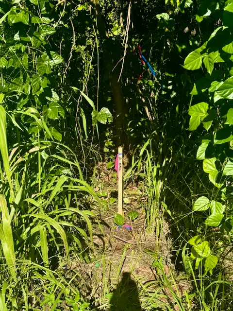 1501 Oio St, Pahoa, HI 96778