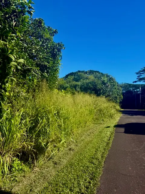 1501 Oio St, Pahoa, HI 96778 - Image #2