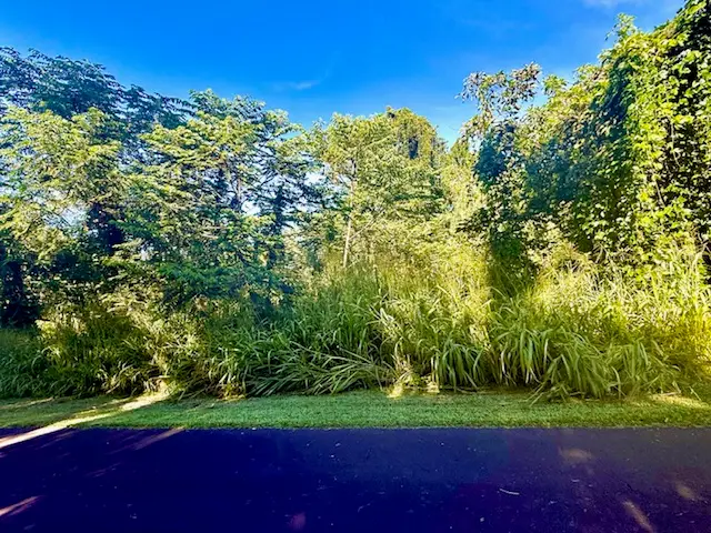 1501 Oio St, Pahoa, HI 96778 - Image #3