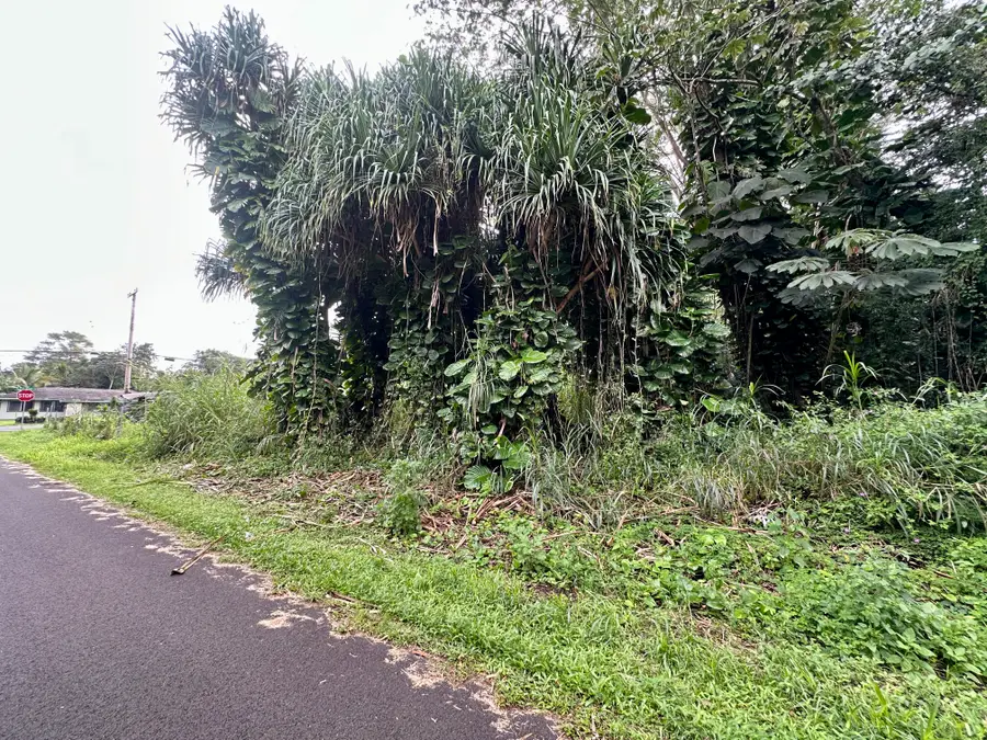 Moi St, Pahoa, HI 96778 - Image #2