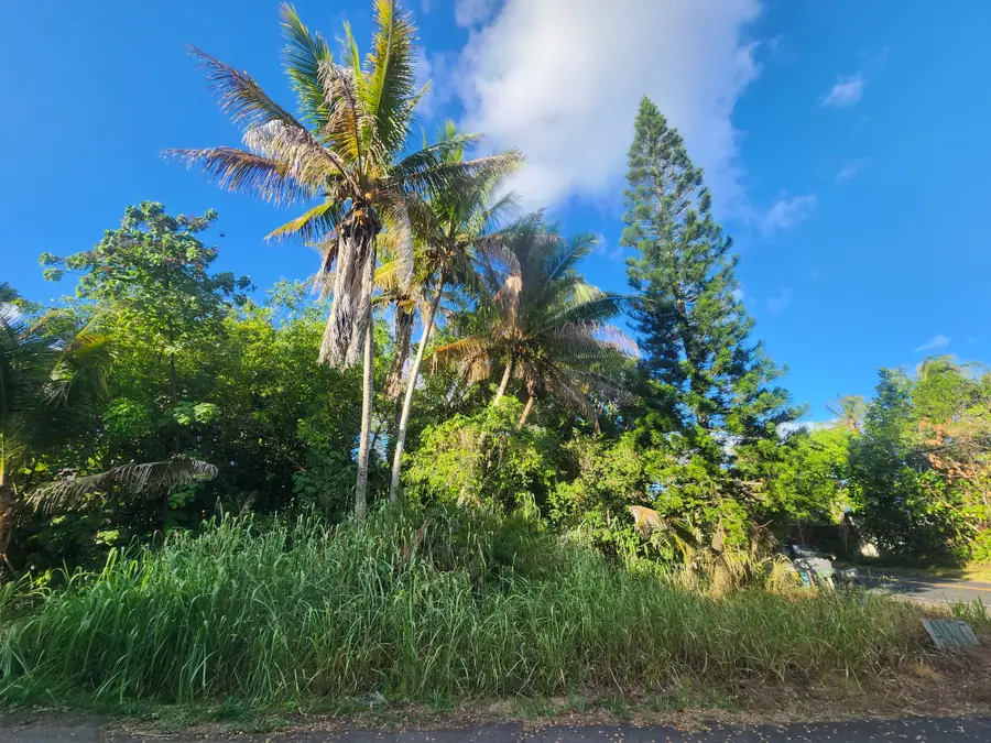 Kalapana Kapoho Beach Rd, Pahoa, HI 96778 - Image #3