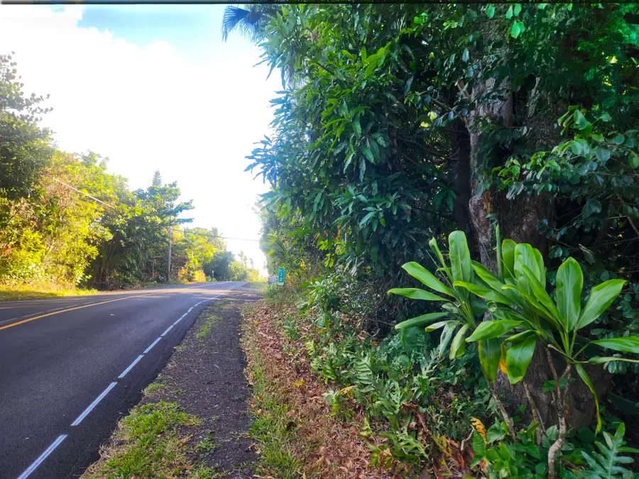 Kalapana-kapoho Beach Rd, Pahoa, HI 96778 - Image #3