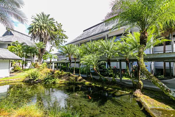 400 Hualani St #5238, Hilo, HI 96720