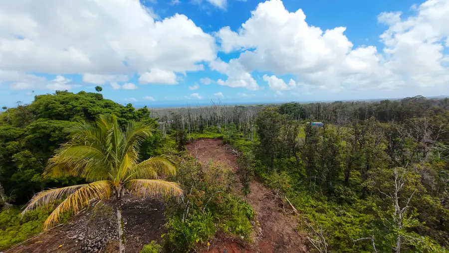 16-2041 Koloa Maoli Rd, Kurtistown, HI 96760 - #3