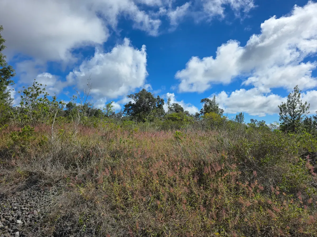 Paradise Cir Mauka, Ocean View, HI 96737 - Image #1