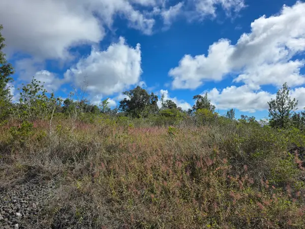 Paradise Cir Mauka, Ocean View, HI 96737