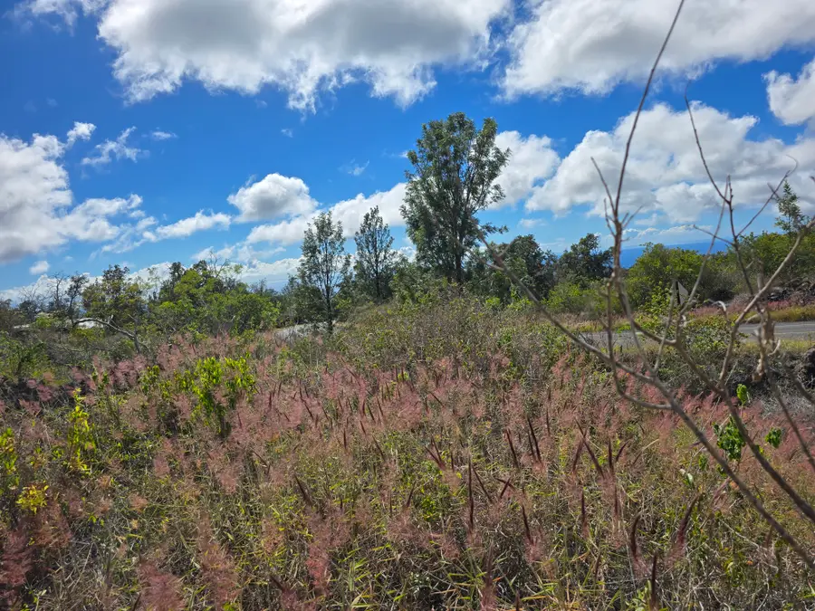 Paradise Cir Mauka, Ocean View, HI 96737 - Image #3