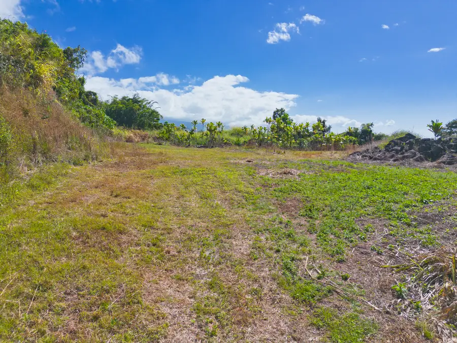 82-1088 Koa Rd, Captain Cook, HI 96704 - Image #3