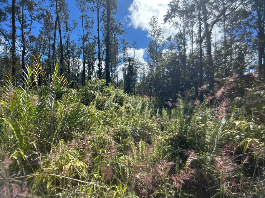 Road G (wao Kele), Hawaiian Acres, HI 96760 - Image #2