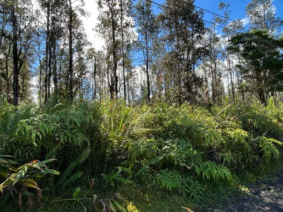 Road G (wao Kele), Hawaiian Acres, HI 96760 - Image #3