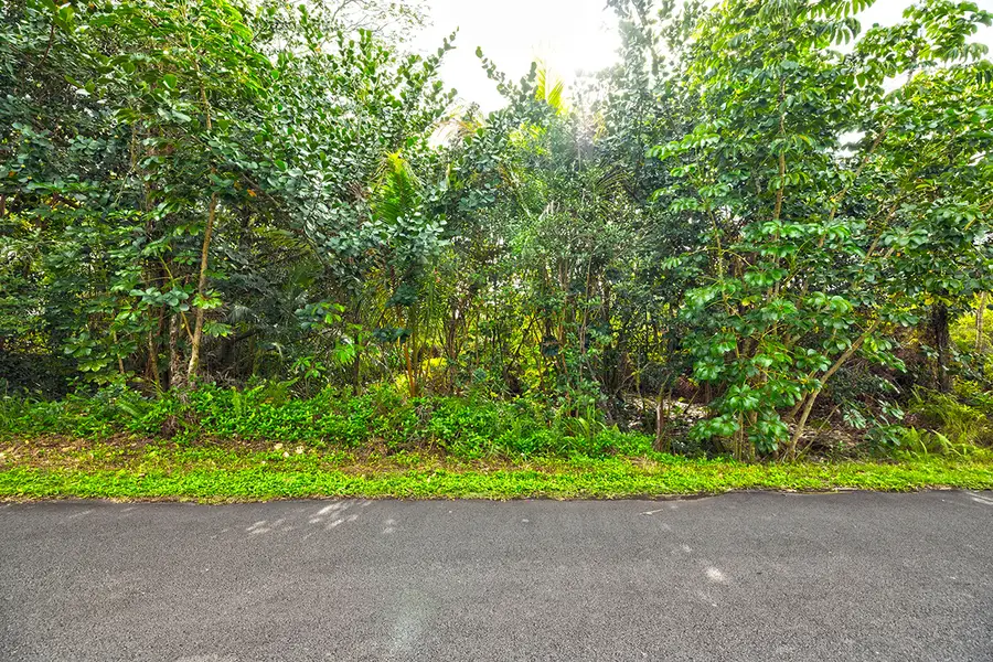 15-1660 1st Ave, Keaau, HI 96749 - #2