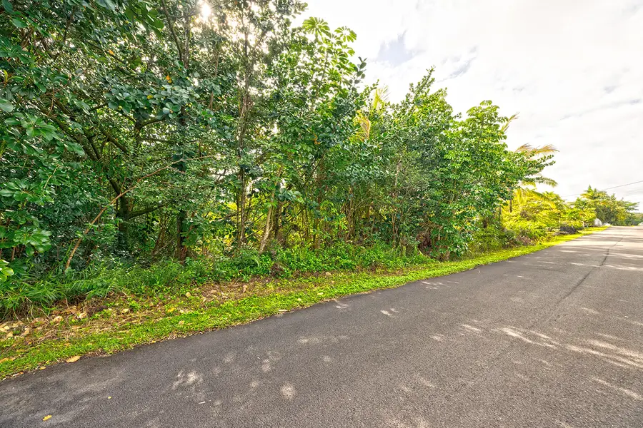 15-1660 1st Ave, Keaau, HI 96749 - #3