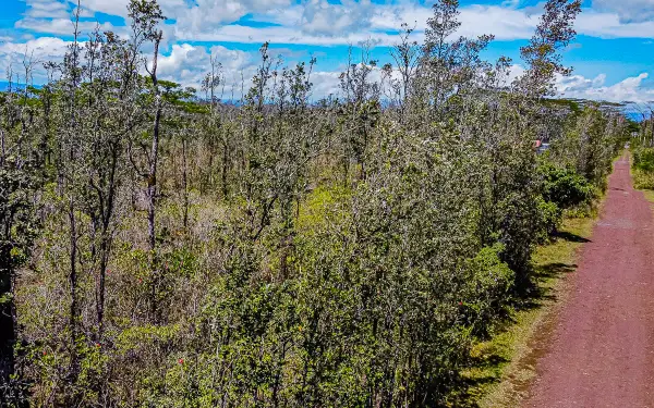 Sandalwood Ct, Keaau, HI 96749