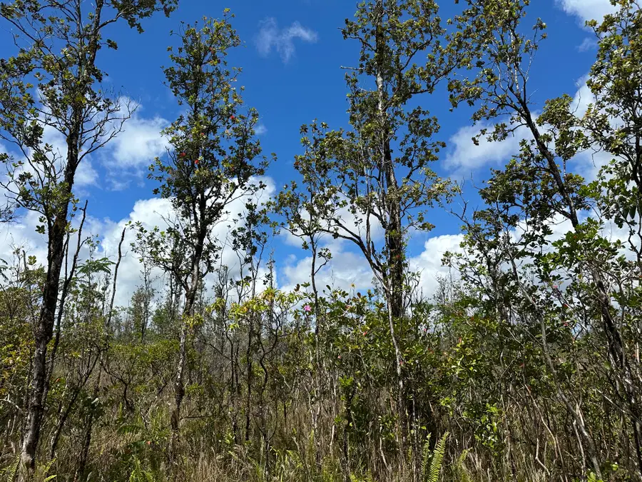 Sandalwood Ct, Keaau, HI 96749 - Image #2