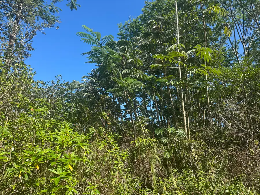 King Kamehameha Blvd, Keaau, HI 96749 - Image #2