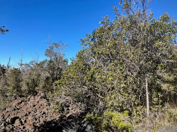 Koa Ln, Ocean View, HI 96737