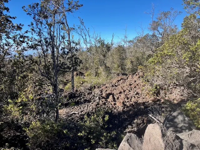 Koa Ln, Ocean View, HI 96737 - Image #3