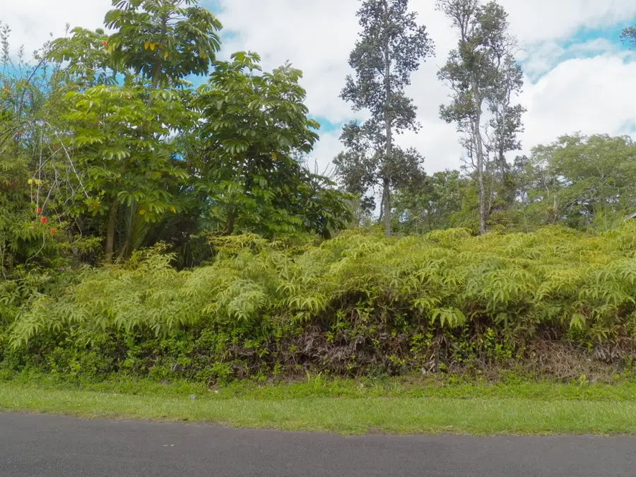 12-559 Diamond Head Dr, Pahoa, HI 96778 - Image #2
