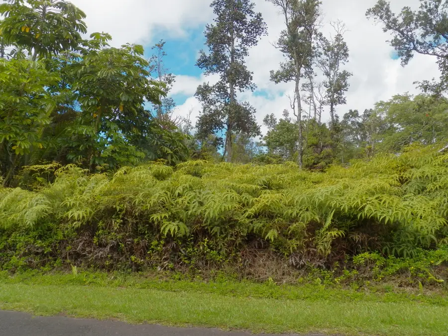 12-559 Diamond Head Dr, Pahoa, HI 96778 - Image #3