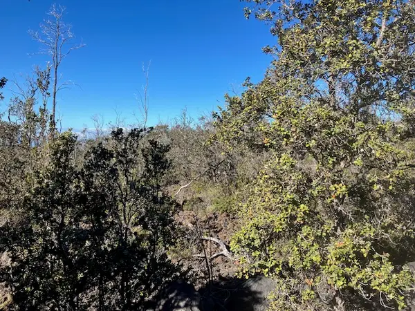 Koa Ln, Ocean View, HI 96737