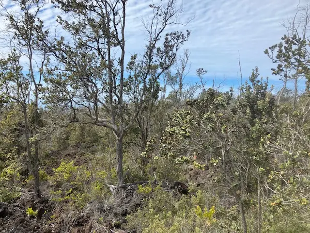 Koa Ln, Ocean View, HI 96737 - Image #2