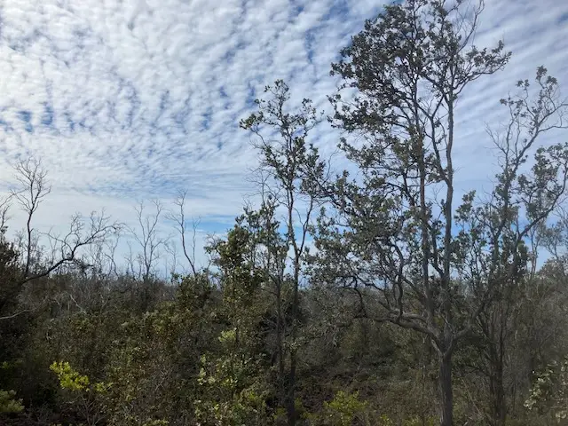 Koa Ln, Ocean View, HI 96737 - Image #3