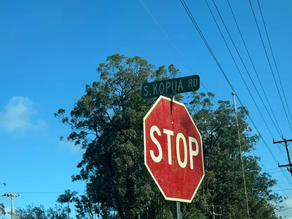 Ohia Ave, Mountain View, HI 96771