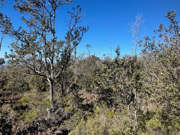 Koa Ln, Ocean View, HI 96737