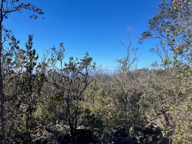 Koa Ln, Ocean View, HI 96737 - Image #1