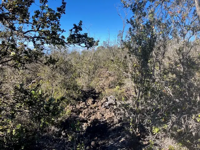 Koa Ln, Ocean View, HI 96737 - Image #2