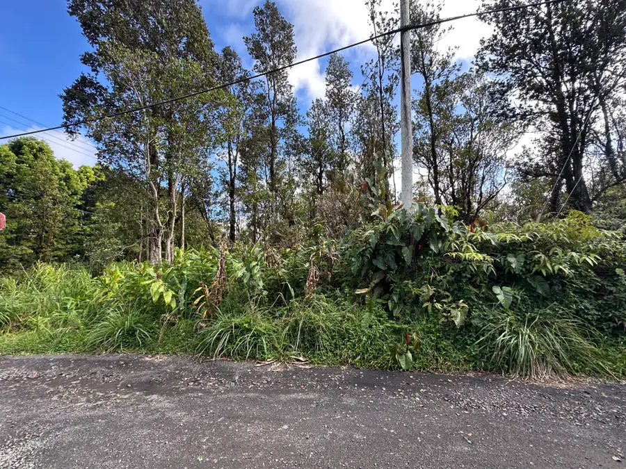 Palainui St, Mountain View, HI 96771 - Image #2