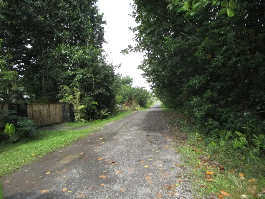 Amau Rd, Keaau, HI 96749 - #3
