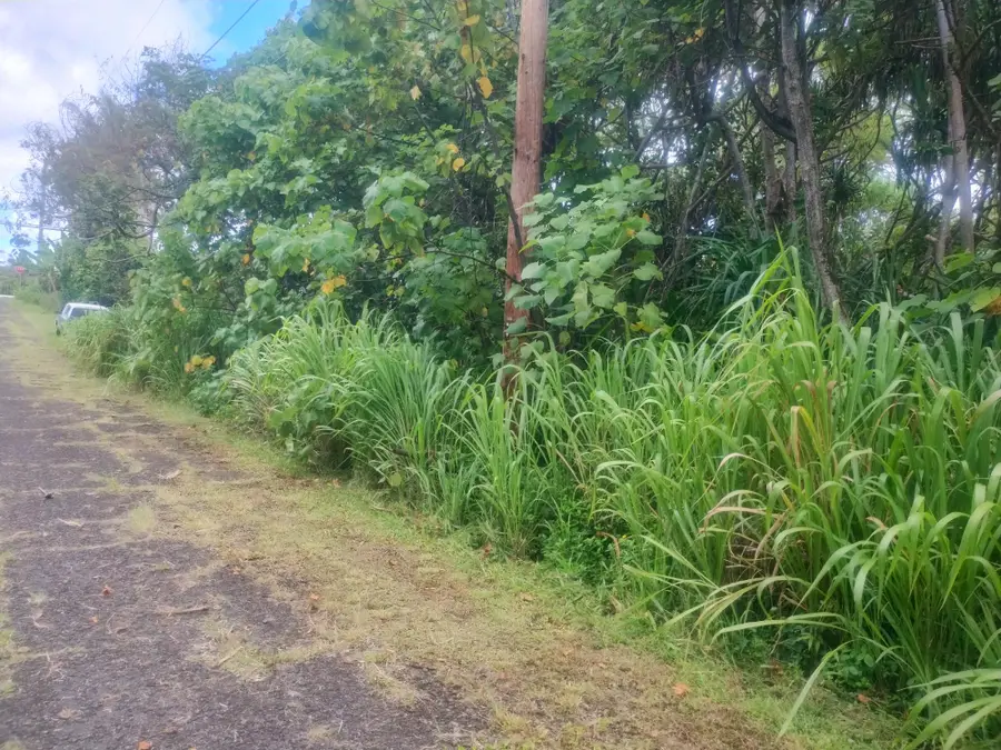 Koaekea St, Pahoa, HI 96778 - Image #2