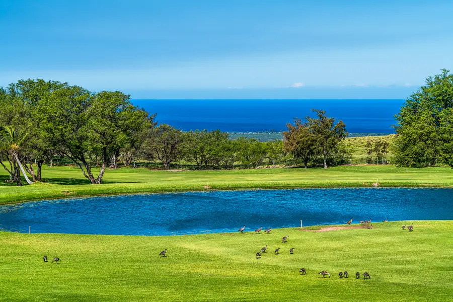 68-1754 Melia St #A310, Waikoloa, HI 96738 - Image #2