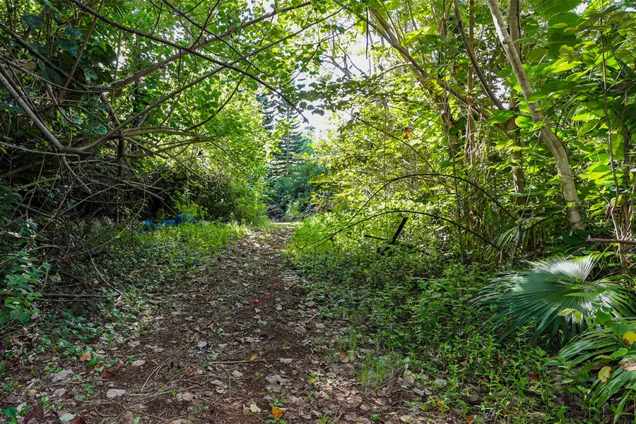 6828-B Kuamoo Rd #2, Kapaa, HI 96746 - Image #2