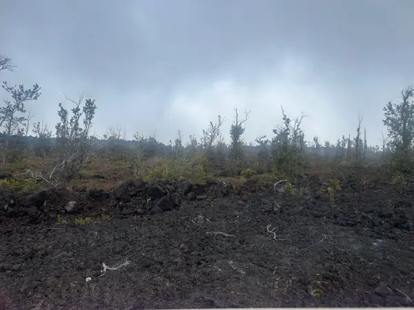 Sea View Dr, Ocean View, HI 96737