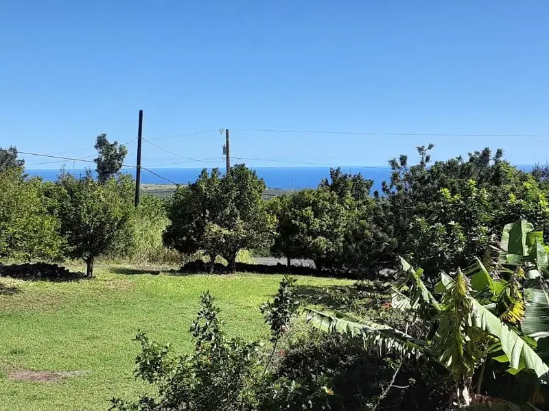 94-1769 Amepela Rd, Naalehu, HI 96772 - Image #2