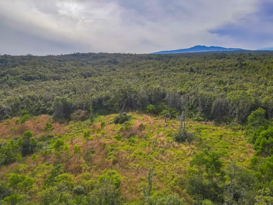 59 Upper Maulua, Papaaloa, HI 96780 - Image #2