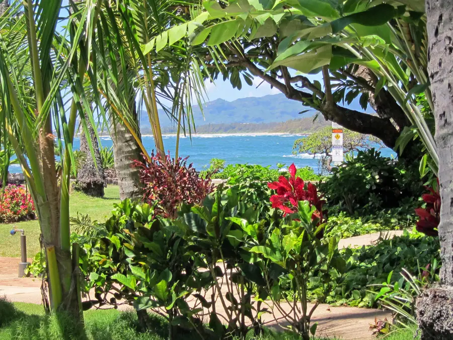 410 Papaloa Rd #211, Kapaa, HI 96746 - Image #2