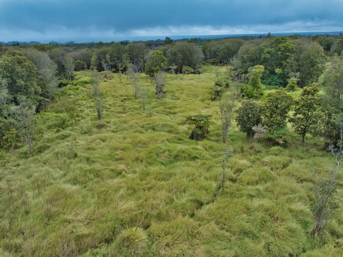 18-4292 Luna Ikena Rd, Mountain View, HI 96785 - Image #1